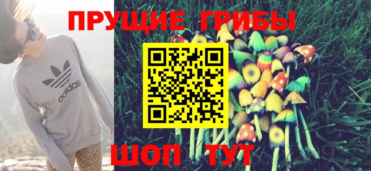 Псилоцибиновые грибы мухоморы  где купить наркоту  Канаш  Вход с VPN 